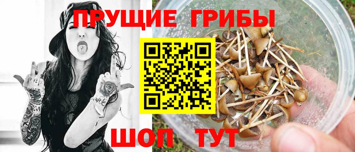 Галлюциногенные грибы MAGIC MUSHROOMS  Вход с VPN  Абинск 