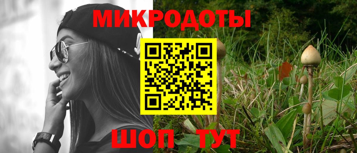 Псилоцибиновые грибы Psilocybe Абинск